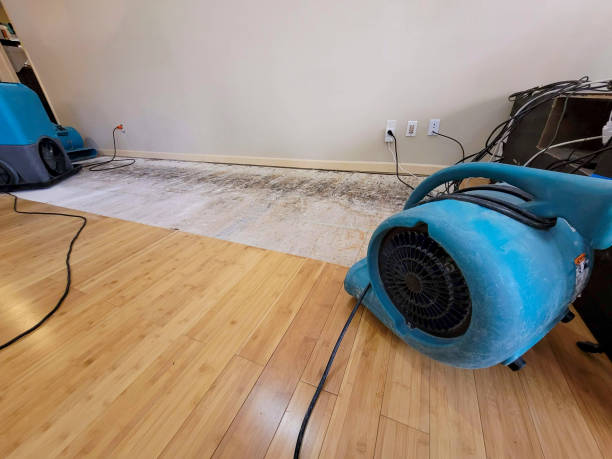 Professional Flood Damage Cleanup technician working in Russell, IL